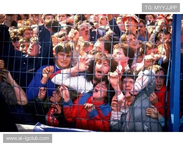 济南足球惨案背后的真相与社会反响：事件始末解析